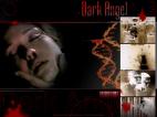 DarkAngel1024x76818